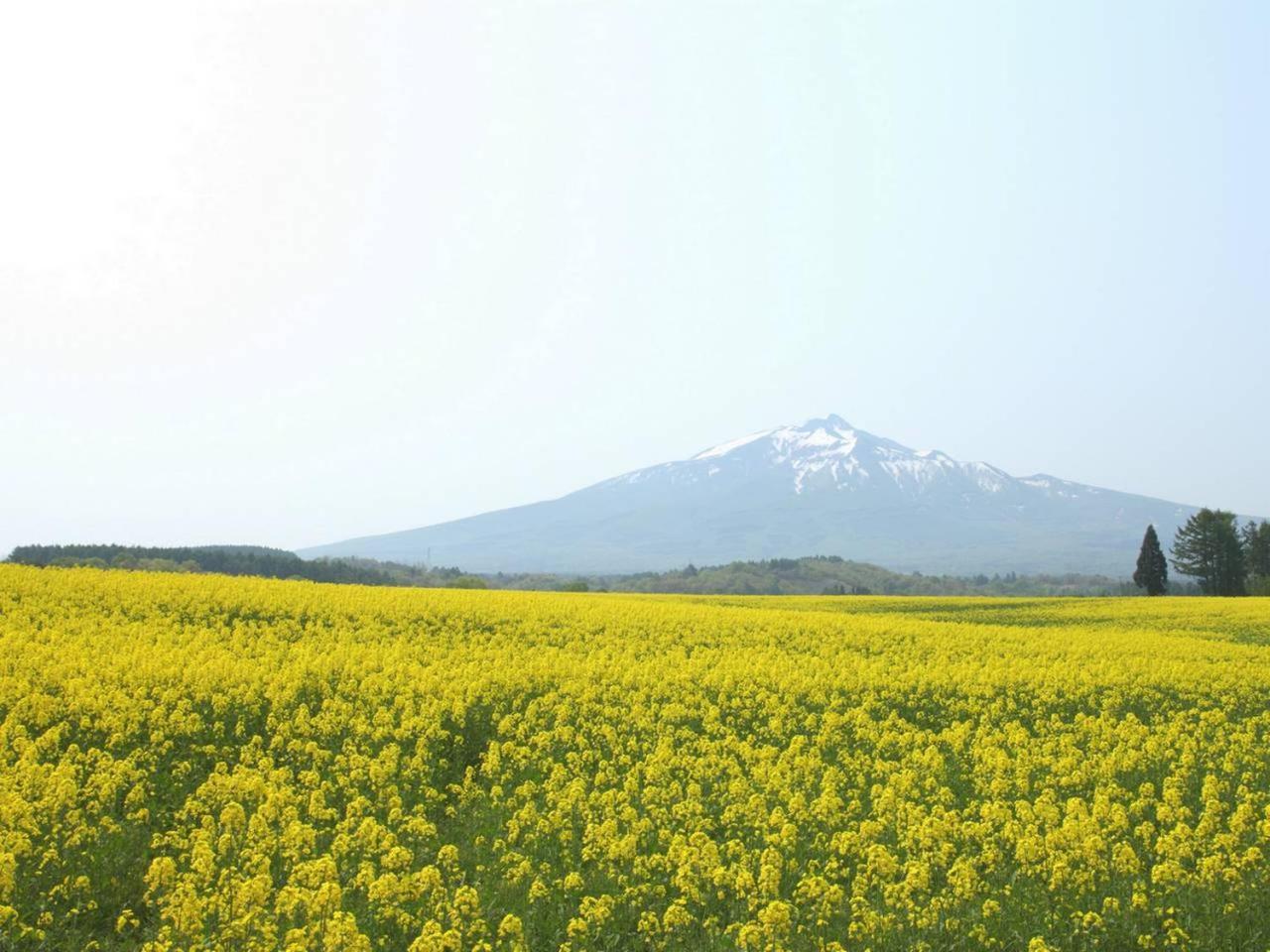 Apa Hotel Aomori Eki Kenchodori Eksteriør bilde